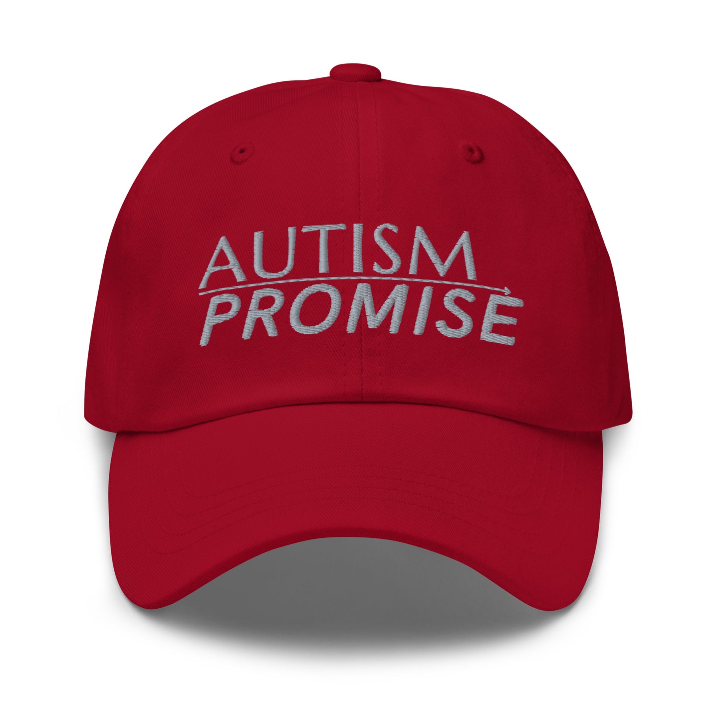 Autism Promise Dad hat