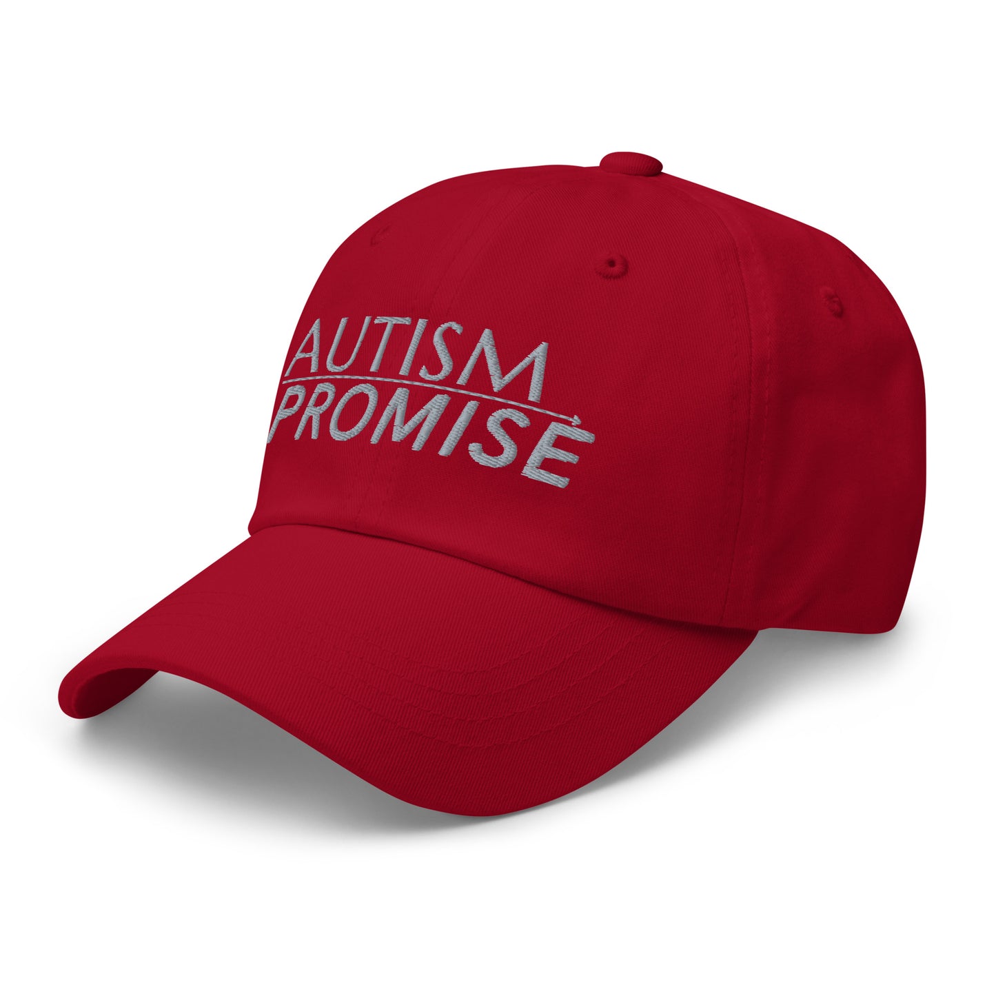 Autism Promise Dad hat