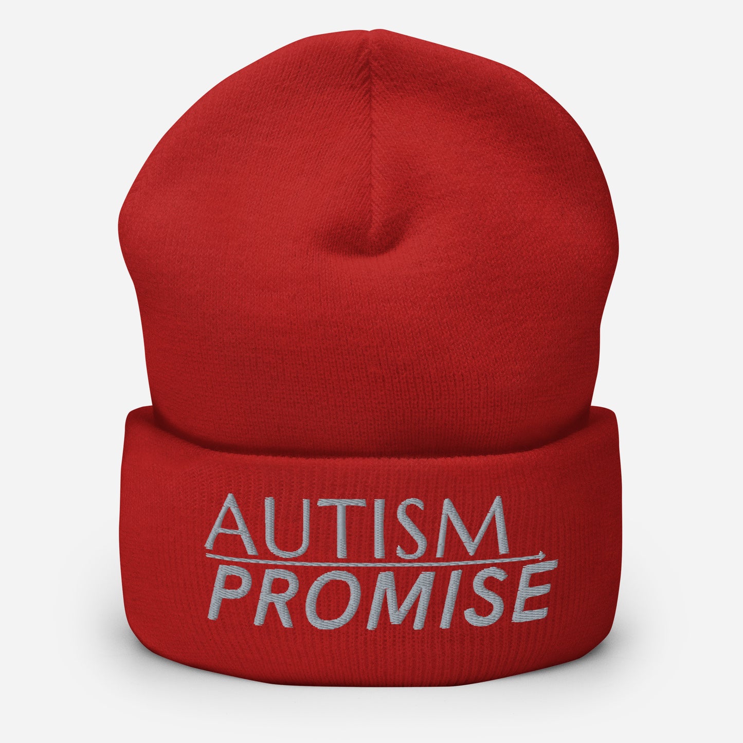 Autism Promise Cuffed Beanie