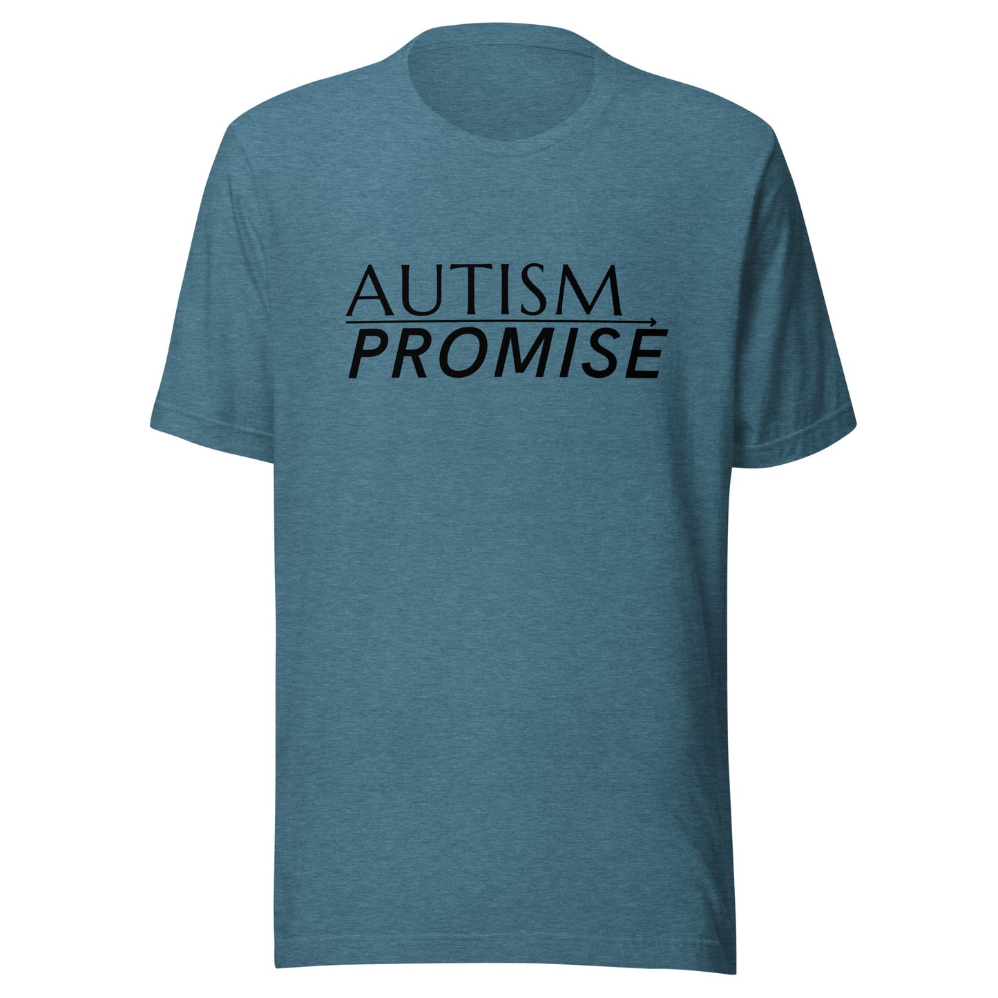 Autism Promise Standard Unisex t-shirt