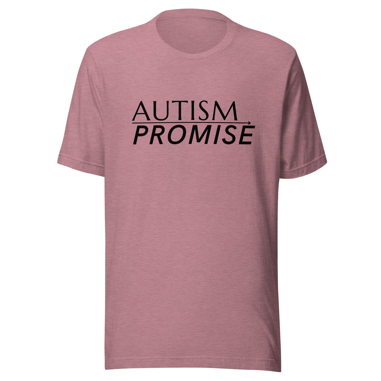 Autism Promise Standard Unisex t-shirt