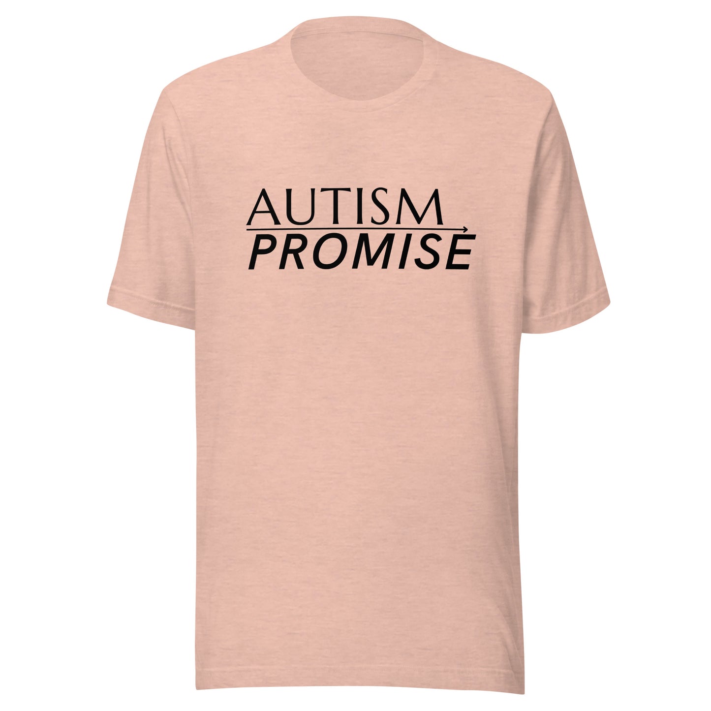 Autism Promise Standard Unisex t-shirt