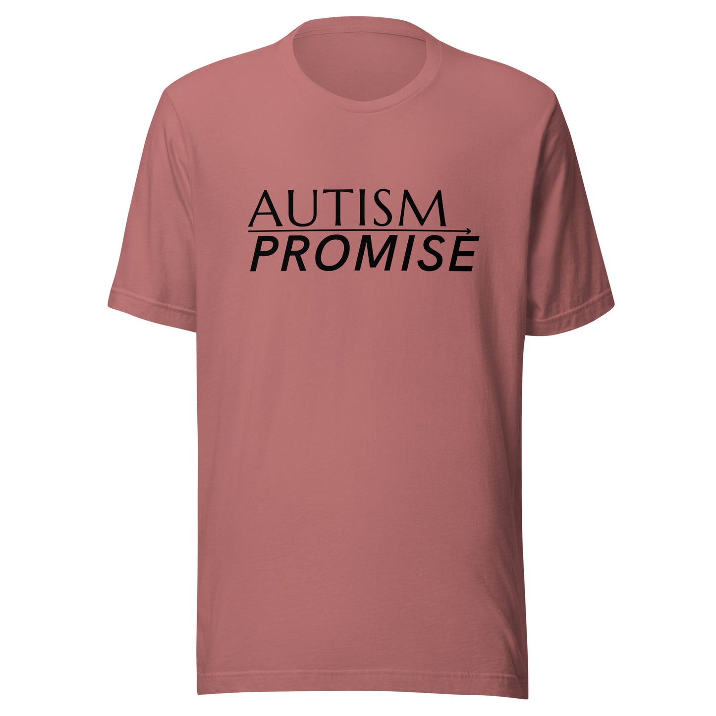 Autism Promise Standard Unisex t-shirt